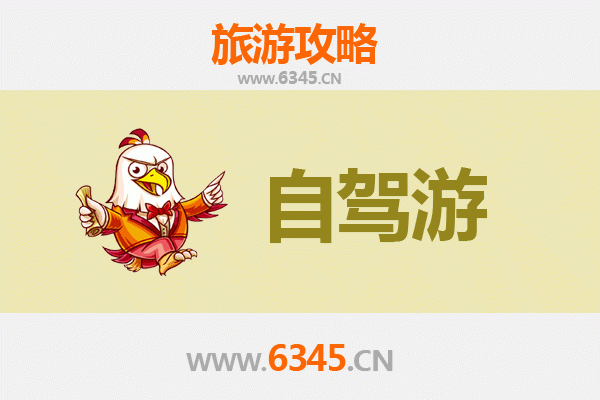 湛江雷州家庭自驾游攻略：探秘红树林与古韵文化之旅