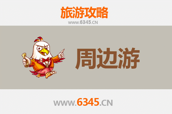 湛江雷州周边游全攻略：探秘古韵文化与自然奇观